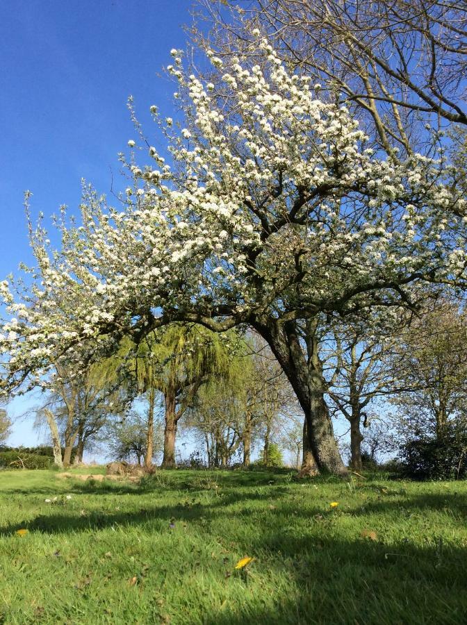 Gouweland Hoogwoud Exterior foto